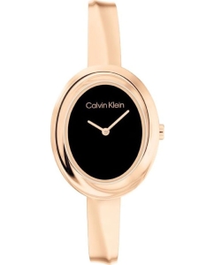 Купить Наручные часы Calvin Klein 25100057 в E-mobi