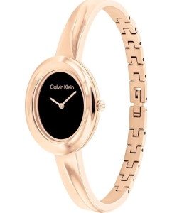 Купить Наручные часы Calvin Klein 25100057  в E-mobi