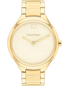 Купить Наручные часы Calvin Klein 25100048 в E-mobi
