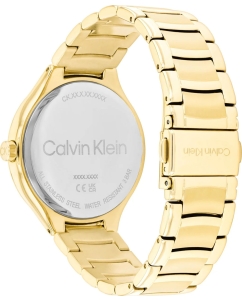 Купить Наручные часы Calvin Klein 25100048  в E-mobi