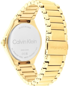 Купить Наручные часы Calvin Klein 25100053  в E-mobi