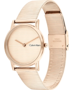 Купить Наручные часы Calvin Klein 25100036  в E-mobi