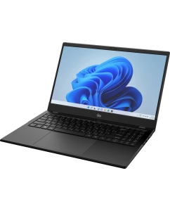 Купить Ноутбук iRU Planio 15ING (2058904) 15.6", IPS, Intel N100 0.8ГГц, 4 ядра, 8ГБ 512ГБ SSD, Intel Iris Xe graphics, Free DOS, черный  в E-mobi
