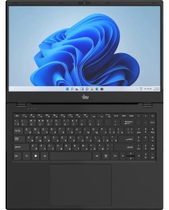 Купить Ноутбук iRU Planio 15ING (2059105) 15.6", IPS, Intel N100 0.8ГГц, 4 ядра, 8ГБ 512ГБ SSD, Intel Iris Xe graphics, Windows 11 Professional, черный  в E-mobi