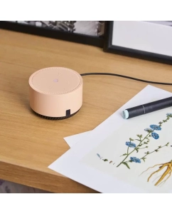 Купить Умная колонка Яндекс Станция Лайт - с Алисой бежевая  в E-mobi