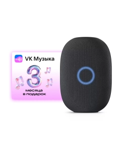 Купить Умная колонка VK Капсула с Марусей Black (MRC01BL) в E-mobi