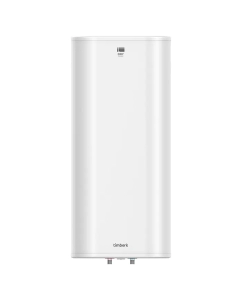 Купить Электрический накопительный водонагреватель Timberk Dry T-WSS100-FS40D-V  в E-mobi