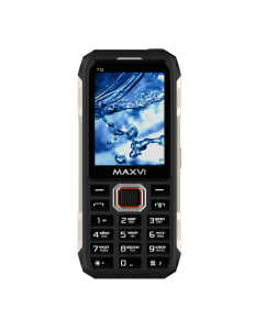 Купить Сотовый телефон Maxvi T12 Black  в E-mobi
