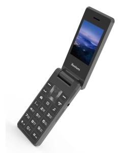 Купить Мобильный телефон Xenium X600 серый (00-00000392) в E-mobi