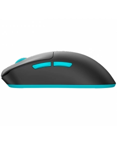 Купить Беспроводная игровая мышь Dark Project F1 черный (DP-VGN-F1W)  в E-mobi