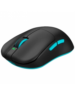 Купить Беспроводная игровая мышь Dark Project F1 черный (DP-VGN-F1W)  в E-mobi