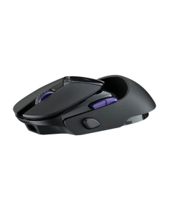 Купить Беспроводная игровая мышь Rapoo VT960pro черный  в E-mobi