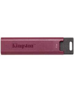 Купить Флешка Kingston DataTraveler MaxA 1 ТБ (DTMAXA/1TB)  в E-mobi