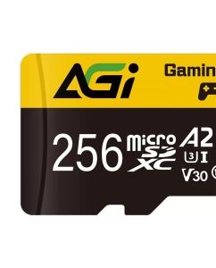 Купить Карта памяти AGI Micro SD 256Гб Supreme TF138 (AGI256GGSTF138)  в E-mobi