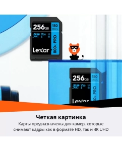 Купить Карта памяти Lexar Professional SDXC 256GB 800x PRO  в E-mobi
