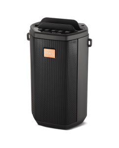 Купить Портативная колонка MAX MR-280 Black  в E-mobi