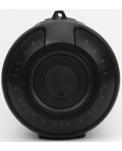 Купить Портативная колонка Ginzzu GM-906B Black  в E-mobi