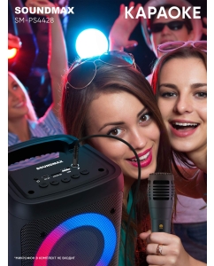 Купить Портативная колонка Soundmax SM-PS4428 Black  в E-mobi