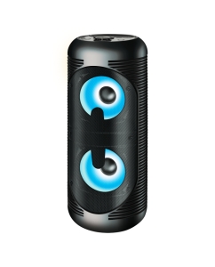 Купить Портативная колонка Ginzzu GM-210 Black в E-mobi