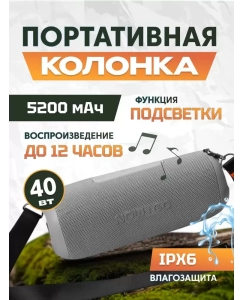 Купить Портативная колонка NowGo F8 Gray в E-mobi