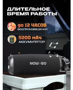 Купить Портативная колонка NowGo F8 Gray  в E-mobi