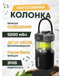 Купить Портативная колонка NowGo F1 Global Black в E-mobi