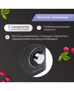 Купить Блендер Zigmund & Shtain BS-442D Black  в E-mobi