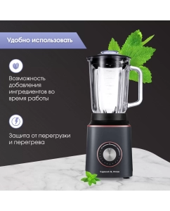 Купить Блендер Zigmund & Shtain BS-442D Black  в E-mobi
