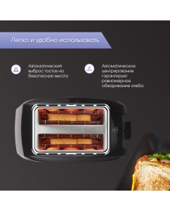 Купить Тостер Zigmund & Shtain ST-89 серебристый, черный  в E-mobi