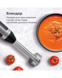 Купить Погружной блендер BQ HB420PS  в E-mobi