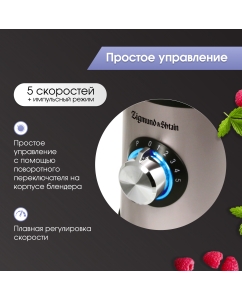Купить Блендер Zigmund-Shtain BS-441 D Silver  в E-mobi