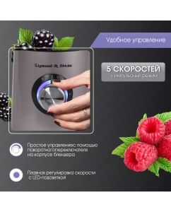 Купить Блендер Zigmund-Shtain BS-441 D Silver  в E-mobi