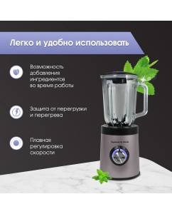 Купить Блендер Zigmund-Shtain BS-441 D Silver  в E-mobi