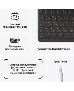Купить Планшет Apple iPad (2021) 10.2" Wi-Fi, 256Gb, Space Grey (MK2N3ZA/A)  в E-mobi