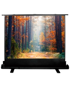 Купить Экран для видеопроектора Cactus FloorExpert CS-PSFLE-180X135 в E-mobi