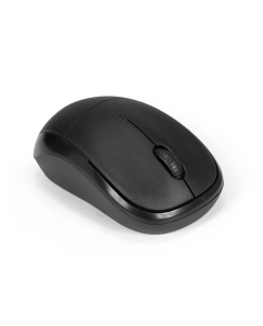 Купить Беспроводная мышь ExeGate Professional Standard SR-9065 черный (EX294837RUS) в E-mobi