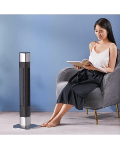 Купить Вентилятор настольный; напольный Deerma DEM-FD120W черный  в E-mobi