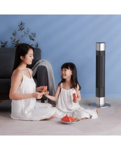 Купить Вентилятор настольный; напольный Deerma DEM-FD120W черный  в E-mobi