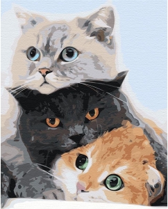 Купить Картина по номерам Живопись по номерам Три кота на холсте 40х50 AAAA-KT2 40х50 в E-mobi