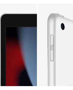 Купить Планшет Apple 10.2" 3/64GB Wi-Fi серебристый A2602  в E-mobi