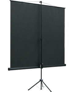 Купить Экран Lumien Eco View LEV-100111, 203х153 см  в E-mobi