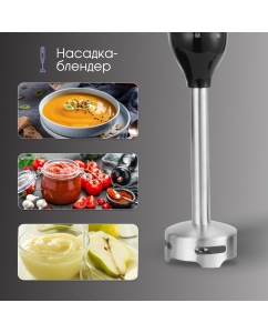 Купить Погружной блендер Zigmund & Shtain BH-242M черный  в E-mobi