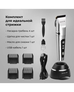 Купить Машинка для стрижки волос GALAXY LINE GL4178 серебристый; серый; черный  в E-mobi