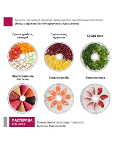 Купить Сушилка для овощей и фруктов Мастерица EFD-6001 белый  в E-mobi