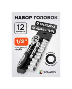 Купить Набор инструментов SIGMATOOL 12 предметов 1/2 (6гр.) -4123(61275) Sigmatool-4123(61275)  в E-mobi