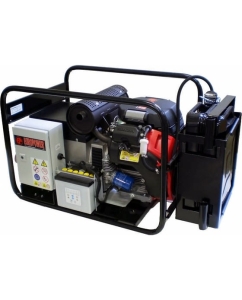 Купить Бензоэлектростанция EuroPower EP12000E 950001201-S4 в E-mobi