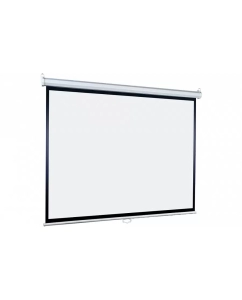 Купить Экран для проектора Lumien Eco Picture LEP-100116 в E-mobi