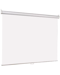 Купить Экран для проектора Lumien Eco Picture LEP-100120 в E-mobi