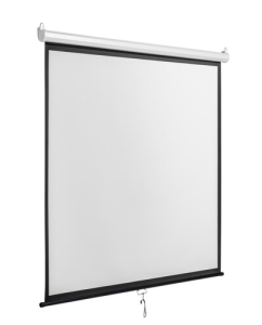 Купить 89" Экран для проектора DEXP WM-60  в E-mobi