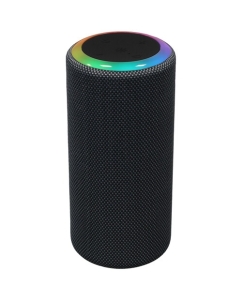 Купить Портативная колонка Aceline APS275, серый  в E-mobi